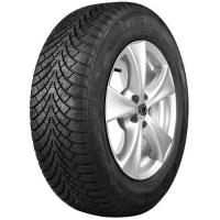 Waterfall Snow Hill 3 195/55 R16 87H