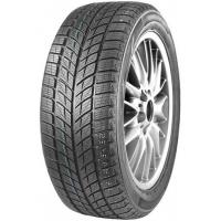 Double Star Winterking DW09 235/55 R17 99T